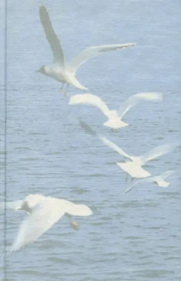 Александр Кушнер - В новом веке. Стихотворения обложка книги