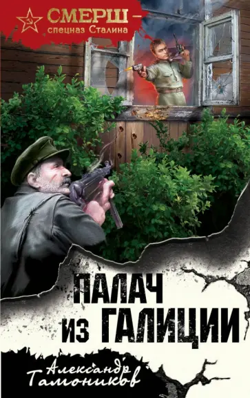 Александр Тамоников - Палач из Галиции обложка книги