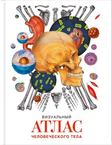Parramon File - Визуальный атлас человеческого тела обложка книги