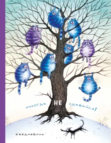 Ежедневник недатированный "Никогда не сдавайся", А5 обложка книги