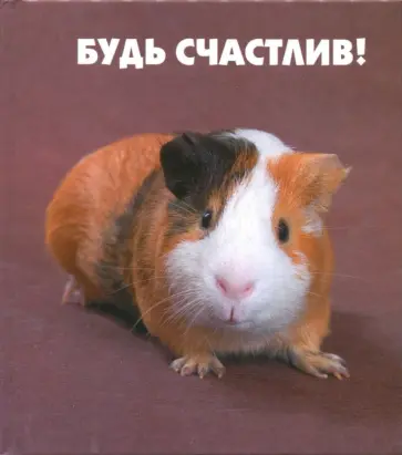 Будь счастлив! Будь счастлив! обложка книги
