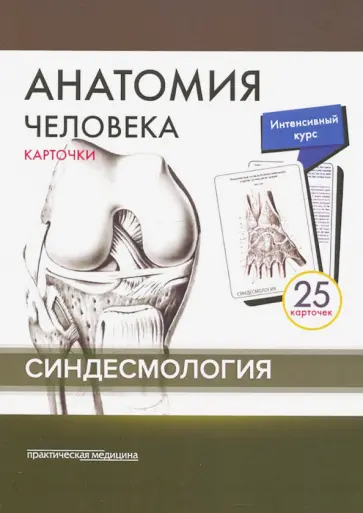 Сапин, Николенко - Анатомия человека. Синдесмология (25 карточек) обложка книги