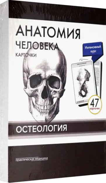 Сапин, Николенко - Анатомия человека. Остеология (47 карточек) обложка книги