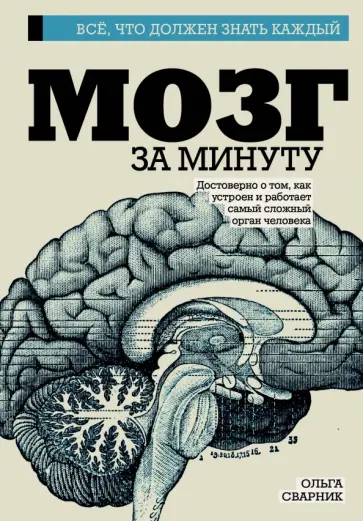 Ольга Сварник - Мозг за минуту Ольга Сварник - Мозг за минуту обложка книги