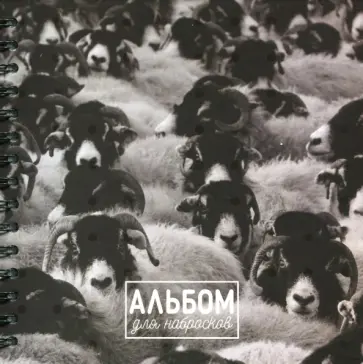 Альбом для набросков 80 листов "Овцы" обложка книги