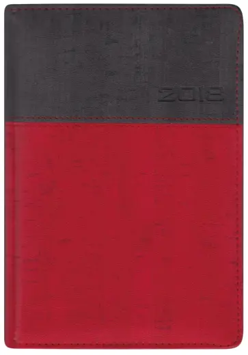 2018 Ежедневник датированный А5, ЭКО ГРАФИТ/КРАСНЫЙ (45160) обложка книги