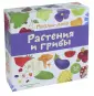 Дошкольное образование