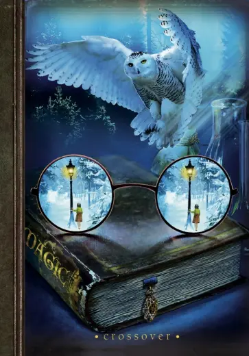 Блокнот-кроссовер "Белая Сова", А5 обложка книги