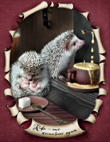 Блокнот с ежиками "Ёжедневник. Кофе - это состояние", А5 обложка книги