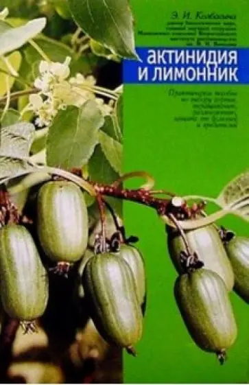 Элла Колбасина - Актинидия и лимонник Элла Колбасина - Актинидия и лимонник обложка книги