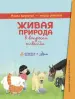 Миниатюра 3