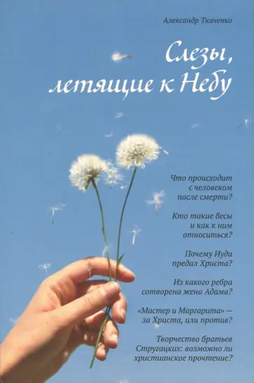 Александр Ткаченко - Слезы, летящие к Небу. Во что и как верят христиане? обложка книги