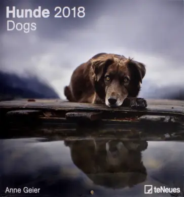 Календарь 2018 "Собаки" 30*30 (95673) обложка книги