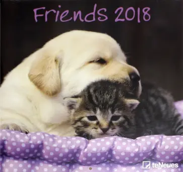 Календарь 2018 "Друзья" 30*30 (95283) обложка книги
