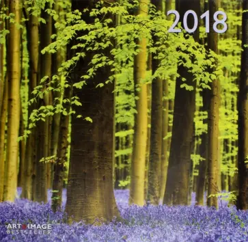 Календарь 2018 "Лес" 30*30 (95600) обложка книги