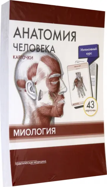 Сапин, Николенко - Анатомия человека. Карточки. Миология Сапин, Николенко - Анатомия человека. Карточки. Миология обложка книги