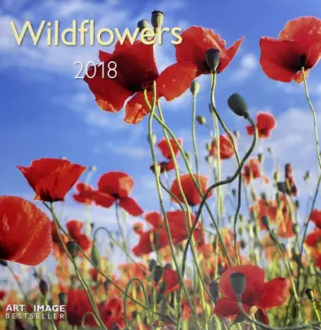 Календарь 2018 "Полевые цветы" 30*30 (95599) обложка книги