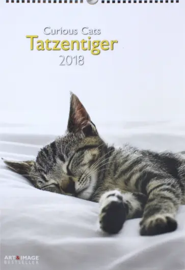 Календарь 2018 "Комичные кошки" 29,7*42 (95252) обложка книги