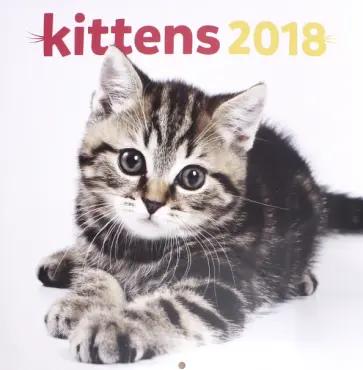 2018 Календарь "Kittens" 30*30 (PGP-4748-V) 2018 Календарь "Kittens" 30*30 (PGP-4748-V) обложка книги