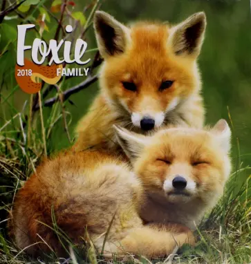 2018 Календарь "Foxie Family" 30*30 (PGP-5099-V) 2018 Календарь "Foxie Family" 30*30 (PGP-5099-V) обложка книги