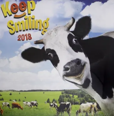 2018 Календарь "Keep Smiling" 30*30 (PGP-5103-V) 2018 Календарь "Keep Smiling" 30*30 (PGP-5103-V) обложка книги