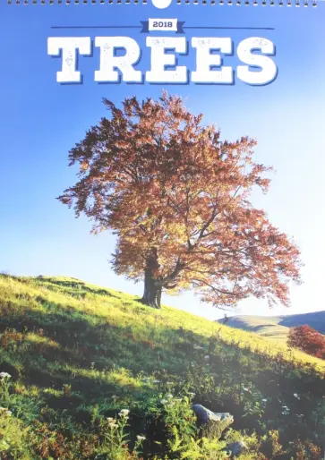 2018 Календарь "Trees" 33*46 (PGN-4709) 2018 Календарь "Trees" 33*46 (PGN-4709) обложка книги