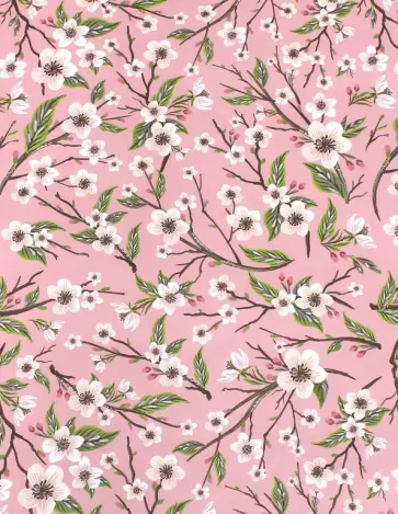 Бумага упаковочная ЯБЛОНЕВЫЕ ЦВЕТЫ (1070274) обложка книги