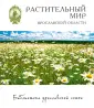 Перфильева Наталья