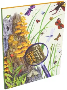 Ольга Кувыкина - Насекомые и пауки: самые-самые обложка книги