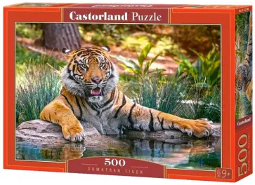 Puzzle-500 "Тигр" (B-52745) Puzzle-500 "Тигр" (B-52745) обложка книги