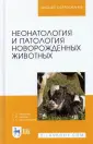 Белозерзева Наталья Сергеевна