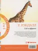 Миниатюра 2