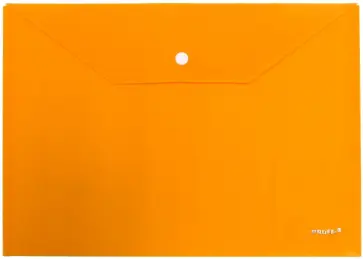 Папка-конверт (А4, на кнопке) (CH309TW-07) обложка книги