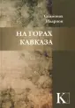 Схимонах Иларион (Домрачев)