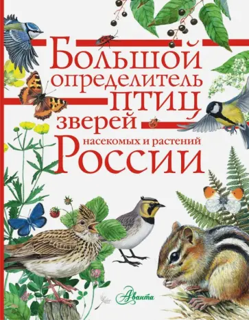 Петр Волцит - Большой определитель зверей, амфибий, рептилий, птиц, насекомых и растений России Петр Волцит - Большой определитель зверей, амфибий, рептилий, птиц, насекомых и растений России обложка книги