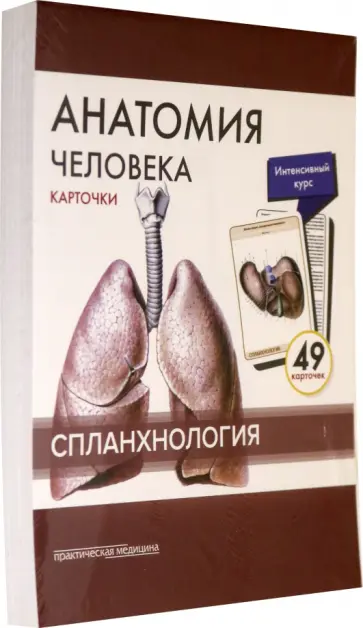 Сапин, Николенко - Анатомия человека. Спланхнология. Карточки (49 шт.) Сапин, Николенко - Анатомия человека. Спланхнология. Карточки (49 шт.) обложка книги