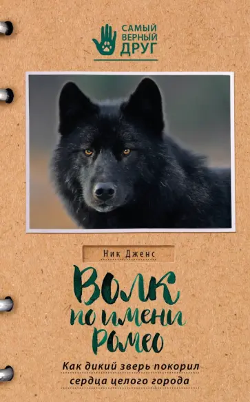 Ник Дженс - Волк по имени Ромео. Как дикий зверь покорил сердца целого города Ник Дженс - Волк по имени Ромео. Как дикий зверь покорил сердца целого города обложка книги
