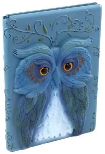 Дневник Совы. Дневник магических секретов (3D) обложка книги