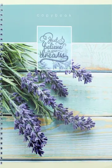 Тетрадь для конспектов "Микс 1" (80 листов, клетка, А4, гребень, в ассортименте) (29024) обложка книги