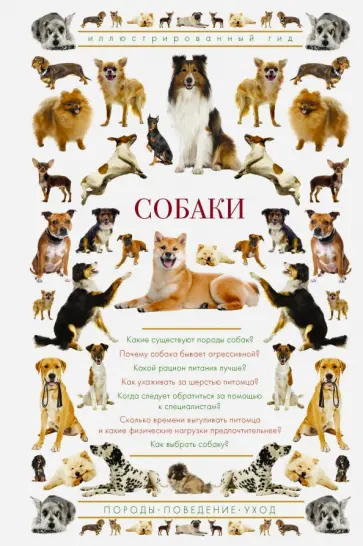 Ирина Барановская - Собаки. Иллюстрированный гид Ирина Барановская - Собаки. Иллюстрированный гид обложка книги