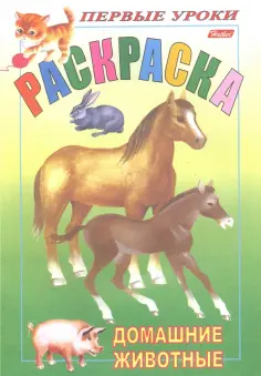 Первые уроки