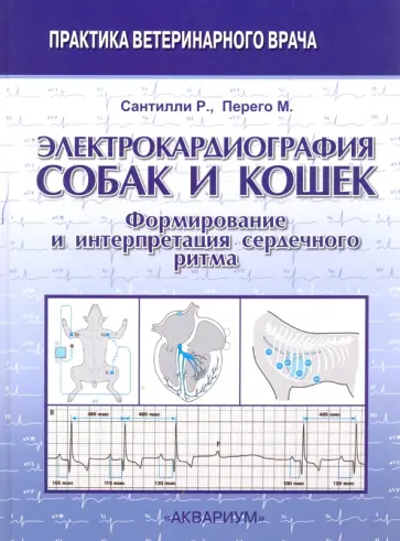 Сантилли, Перего - Электрокардиография собак и кошек. Формирование и интерпретация сердечного ритма Сантилли, Перего - Электрокардиография собак и кошек. Формирование и интерпретация сердечного ритма обложка книги