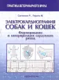 Сантилли Роберто А.