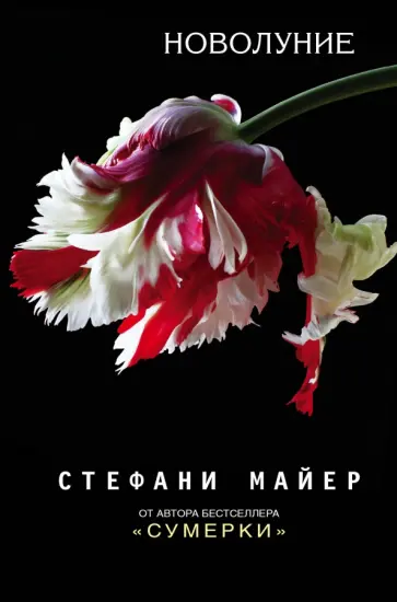 Стефани Майер - Новолуние Стефани Майер - Новолуние обложка книги