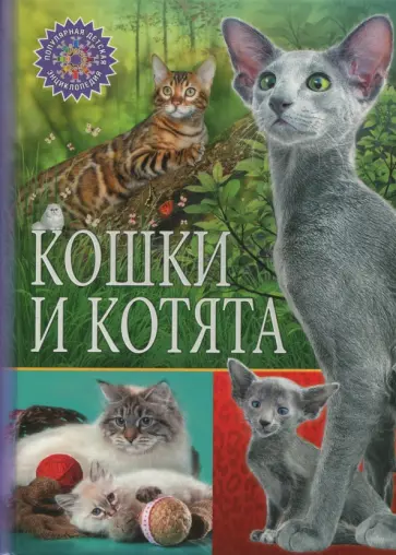 Кошки и котята Кошки и котята обложка книги