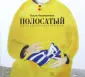 Коваленкова Анастасия Сергеевна