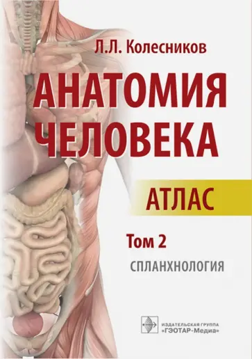 Лев Колесников - Анатомия человека. Атлас. Том 2. Спланхнология Лев Колесников - Анатомия человека. Атлас. Том 2. Спланхнология обложка книги