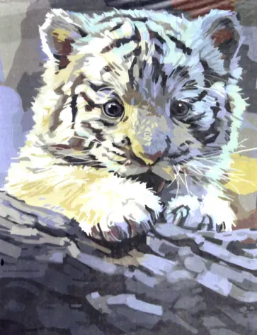 Раскраска по номерам "Белый тигренок" (30х40 см) (S 3772) обложка книги