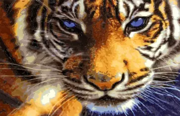 Раскраска по номерам "Тигриный взгляд" (30х40 см) (S 3778) обложка книги