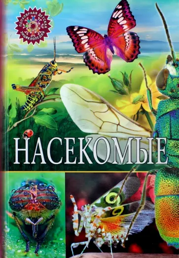 Насекомые Насекомые обложка книги